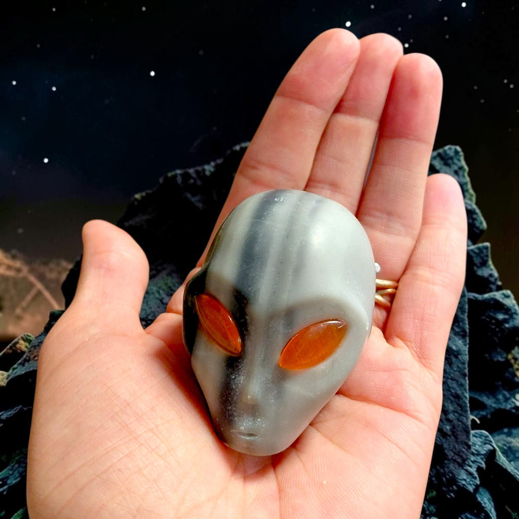 Zen Jaspis Alien-Schädel, Alienskull