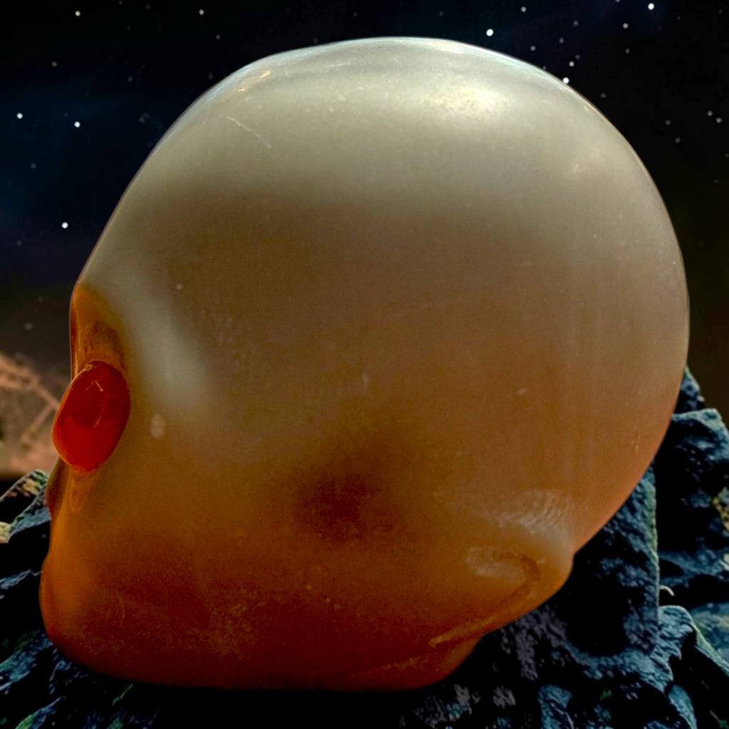 Zen Jaspis Alien-Schädel, Alienskull