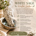 White sage, Weißer Salbei zum räuchern