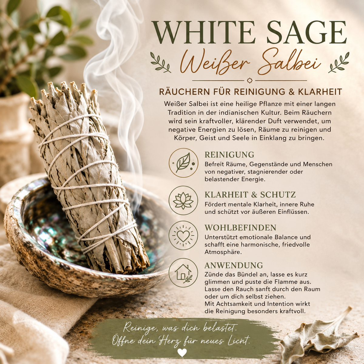White sage, Weißer Salbei zum räuchern